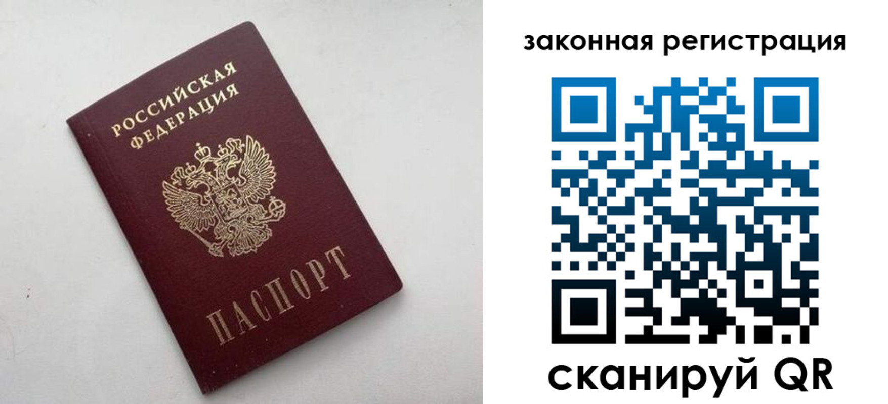 прописка 2025 в Коле
